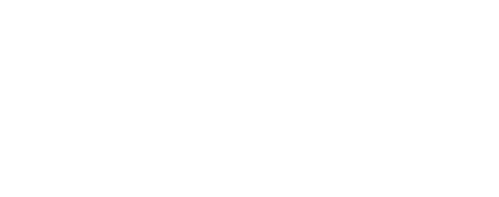 ASS.solutions Logo